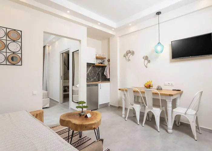 Ionas 1 Apartamento Nea Skioni